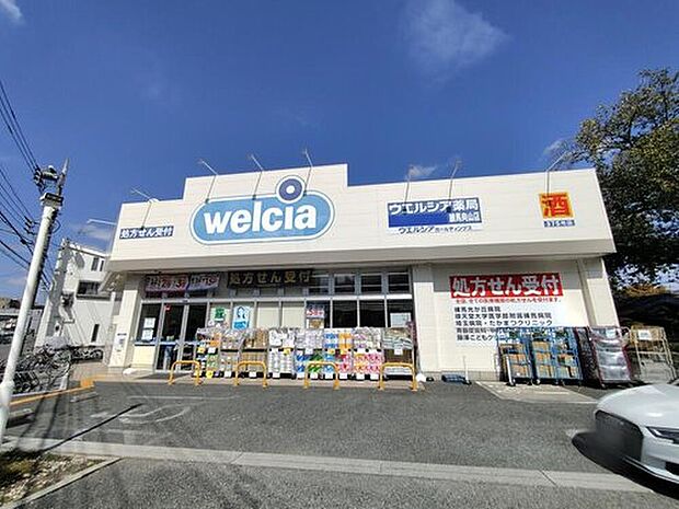 ウエルシア練馬向山店(約580m)