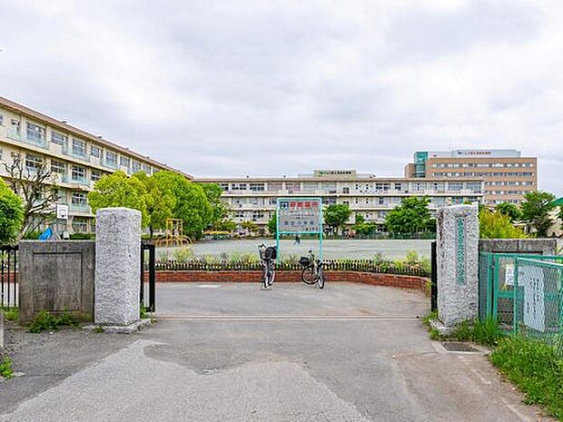 富士見市立諏訪小学校(約960m)