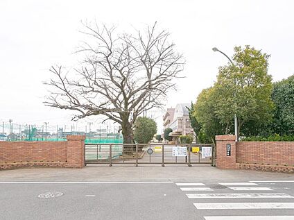 ふじみ野市立大井東中学校 1300m(徒歩17分)