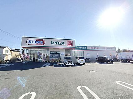 ドラッグセイムス志木中宗岡4丁目店 350m (徒歩5分)
