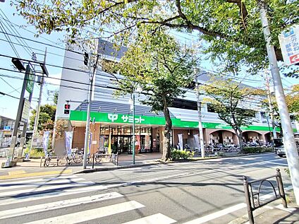 サミットストア大泉学園店 1003ｍ(徒歩13分)