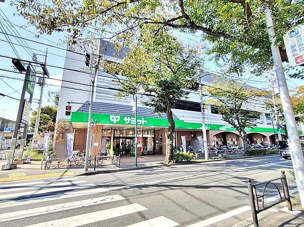 サミットストア大泉学園店（約1,003m）