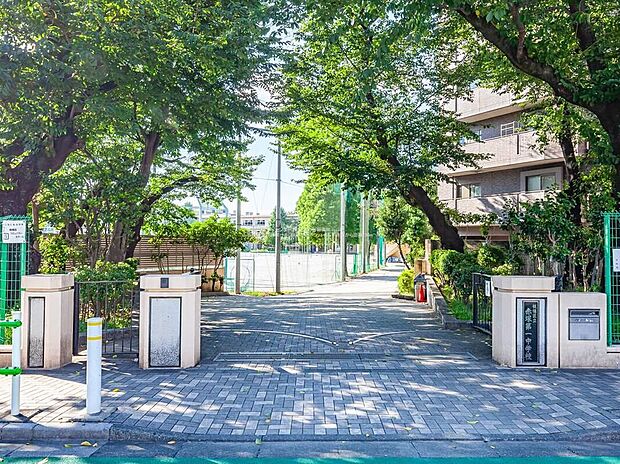 板橋区立赤塚第一中学校(約550m)