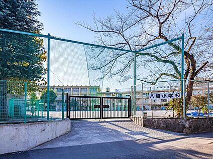 練馬区立八坂小学校 220ｍ(徒歩3分)