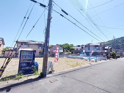 現地写真