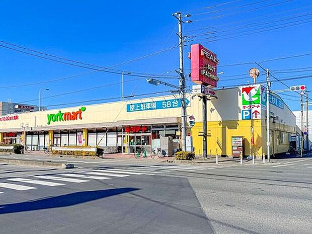 ヨークマート柳崎店（約750m）