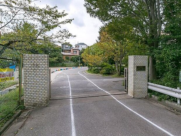 川口市立桜町小学校（約350m）