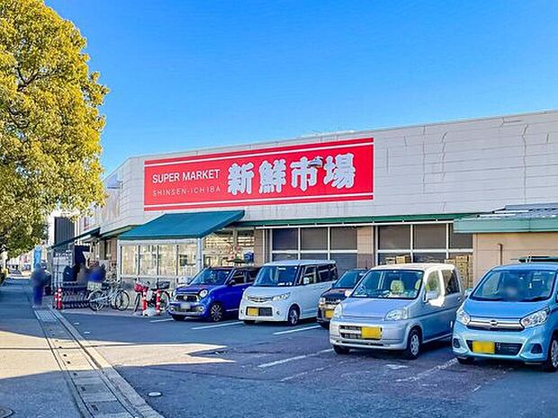 新鮮市場　江戸袋店（約270m）