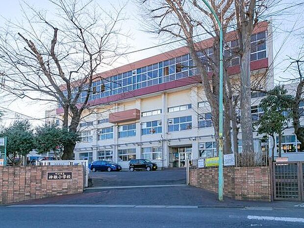 川口市立神根小学校（約600m）