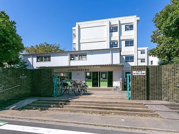 川口市立芝中央小学校（約650m）