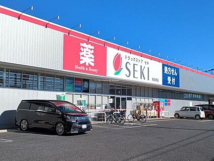 ドラッグストアセキ東岩槻店 1000m(徒歩13分（自転車4分）)