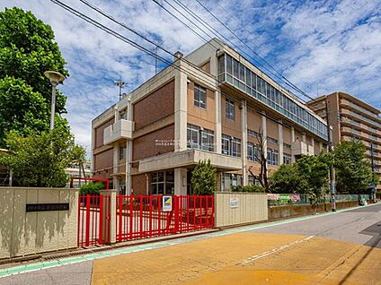川口市立芝南小学校 200m(徒歩3分)