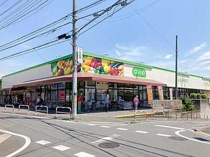 コープ上木崎店 240m (徒歩3分)