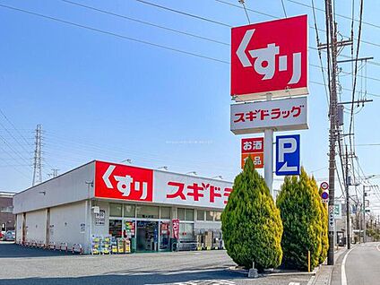 スギドラッグ鳩ヶ谷店 455m(徒歩6分)