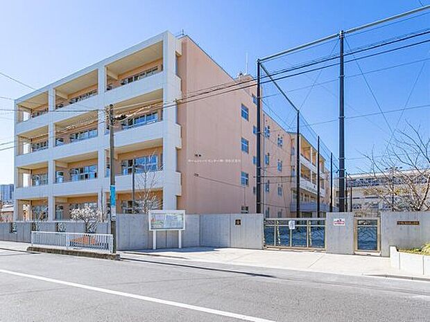 川口市立青木中央小学校(約600m)