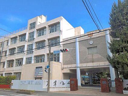 川口市立青木中学校 1500m(徒歩19分)