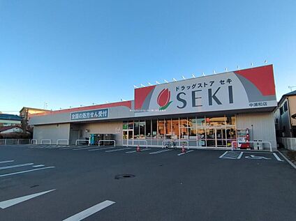 ドラッグストアセキ中浦和店 1000m(徒歩13分)