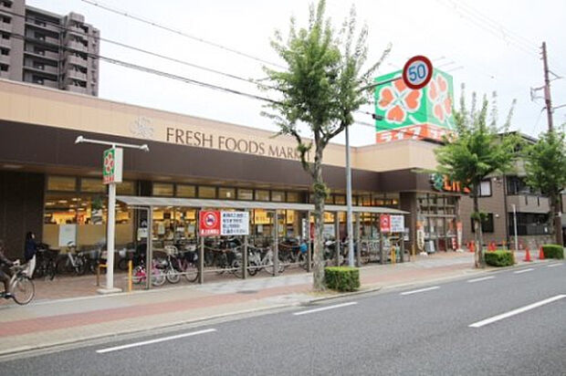 ライフ 旭大宮店（約800m）