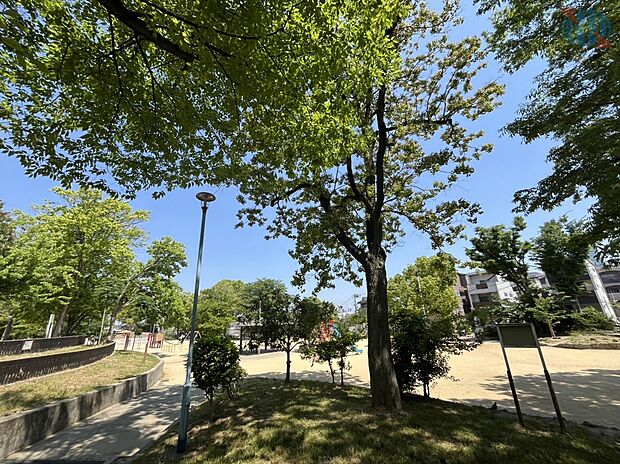 聖天山公園（約80m）