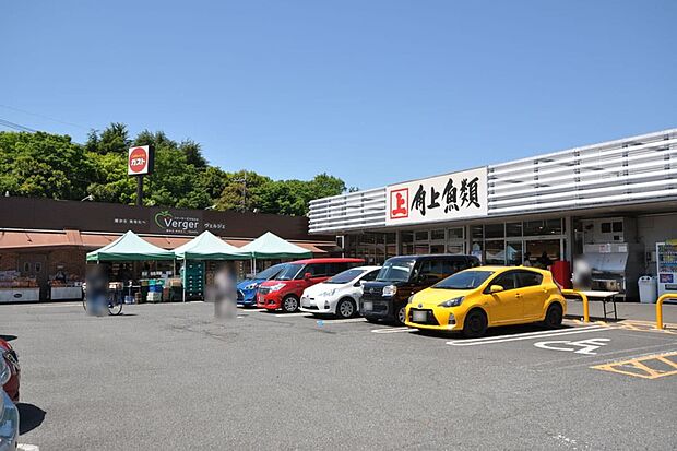 角上魚類小平店・ファーマーズマーケット ベルジェ小平店(現地