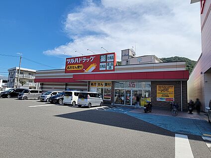 ツルハドラッグ紀三井寺店 約960m(徒歩12分)