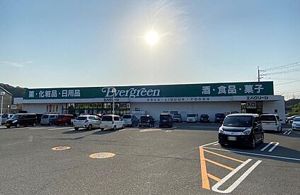 エバグリーン海南店 約1120m(徒歩14分)