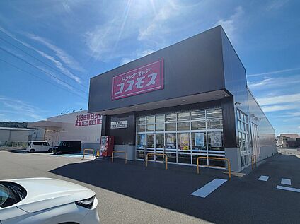 ドラッグコスモス岩橋店 約640m(徒歩8分)