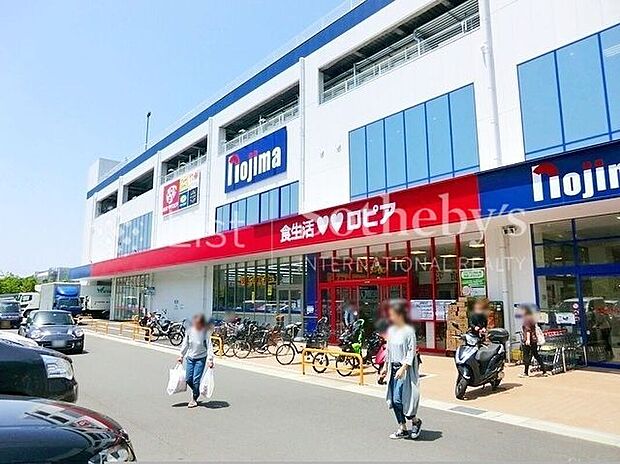 ロピア川崎水沢店(約700m)