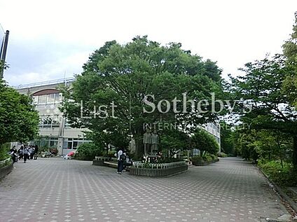 川崎市立金程中学校 800m