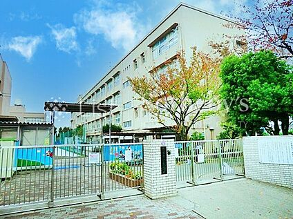 横浜市立つつじが丘小学校 160m
