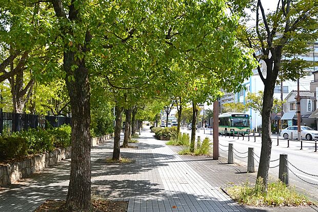 美しい景観の橘通りまで徒歩4分(約300m～320m)。道路沿いには尼崎市役所や公園、スーパーマンダイなどの生活関連施設が集積。（23年9月撮影）