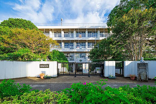 実花小学校（約230m）