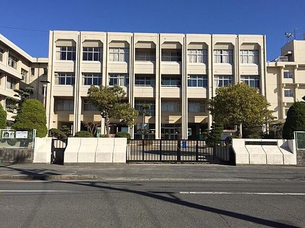 福南中学校(約800m)