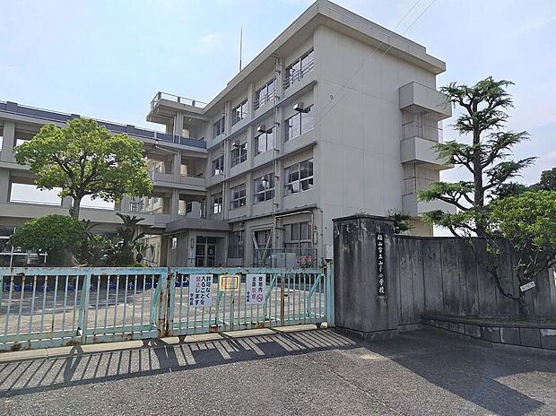 山手小学校(約300m)