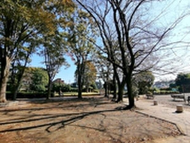砂川公園(約740m)