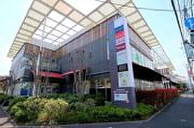 若葉ケヤキモール　