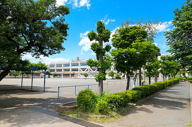 立川市立柏小学校(約1,110m)