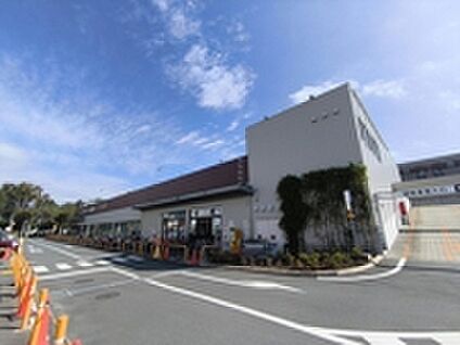 いなげや東恋ヶ窪店 約392m
