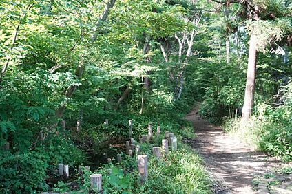 日野緑地 約1154ｍ