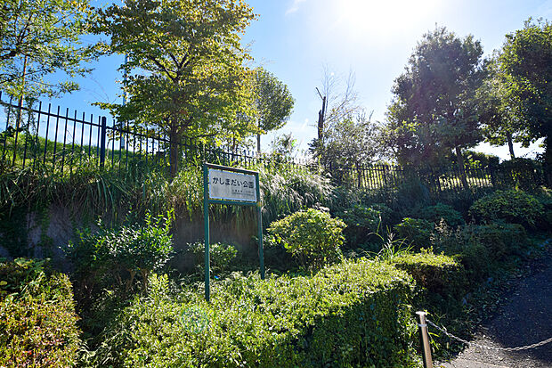 かしまだい公園 (約740m)