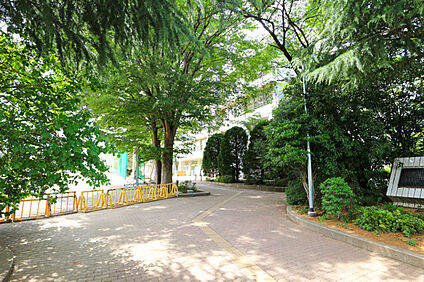 府中市立府中第二中学校 約800m