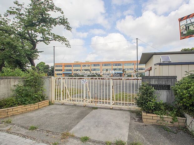 国立市立国立第六小学校(約550m)