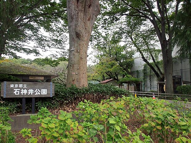 都立石神井公園（約600m）