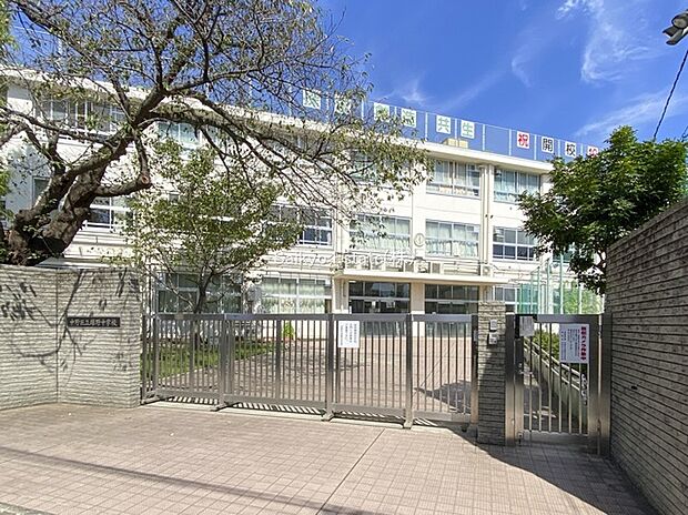 中野区立緑野中学校（約900m）