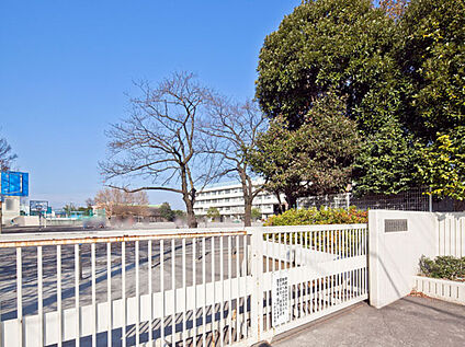 府中市立小柳小学校 約880ｍ(徒歩約11分)