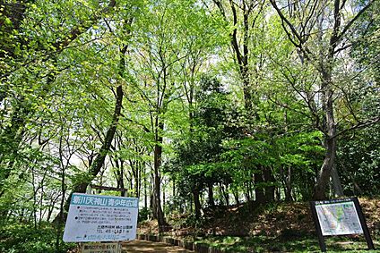 新川天神山青少年広場 約810ｍ(徒歩約11分)