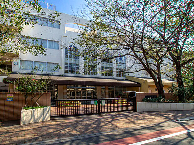 杉並区立宮前中学校(約550m)