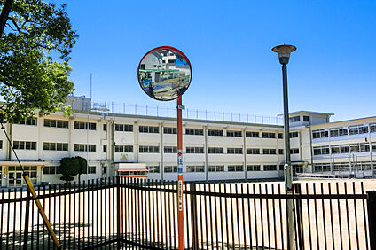 調布市立若葉小学校 約880ｍ(徒歩約11分)