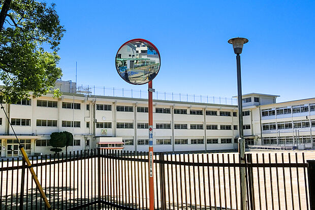 調布市立若葉小学校