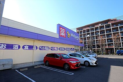 ウェルパーク小金井東町店 約1194ｍ(徒歩約15分)